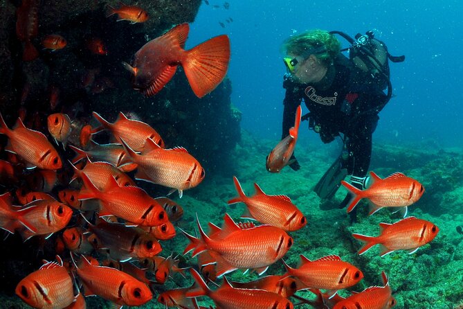 Half-Day Diving in Sal - Sal’s volcanic coast beneath the surface