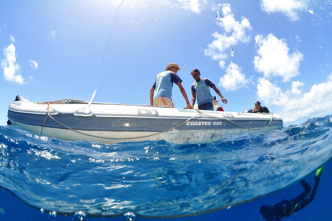 Half-Day Diving in Sal - Equipment costs need careful reading