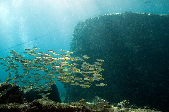 Half-Day Diving in Sal - Who will get the most from this outing?