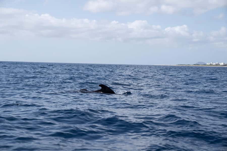 Half-Day Sailing Yacht Adventure in Sal Island - 3 hours - Why this sailing trip feels different from a party boat