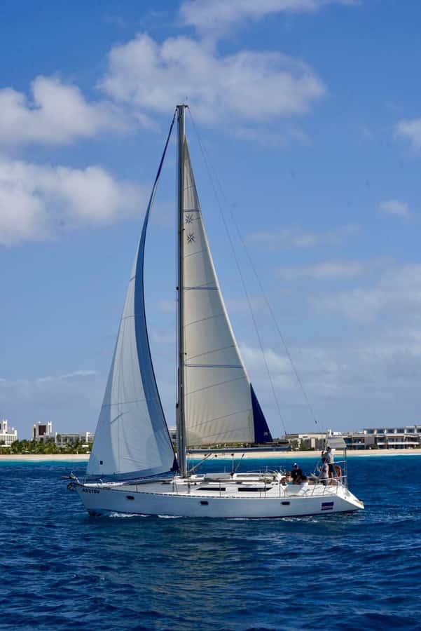 Half-Day Sailing Yacht Adventure in Sal Island - 3 hours - Wildlife: a welcome bonus, not the reason to book