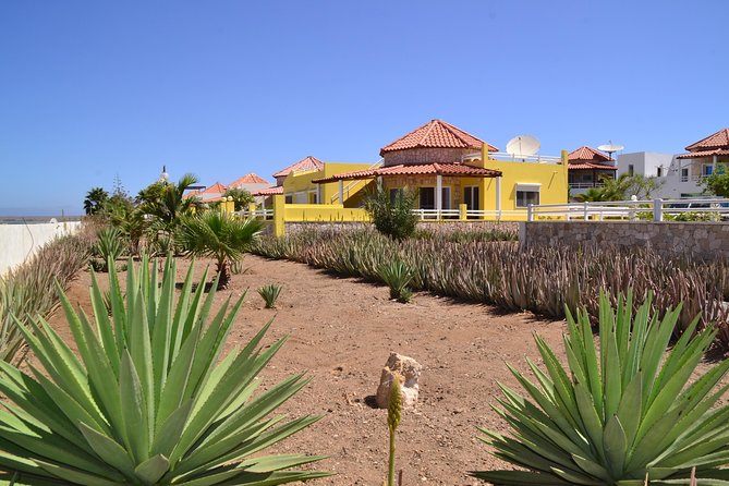 Half-Day Sal Island Tour with Shark Experience from Santa Maria - A quick way to understand Sal