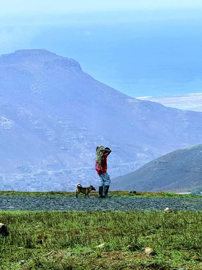 Hike Monte Verde - The upper road is easier, but less scenic on foot