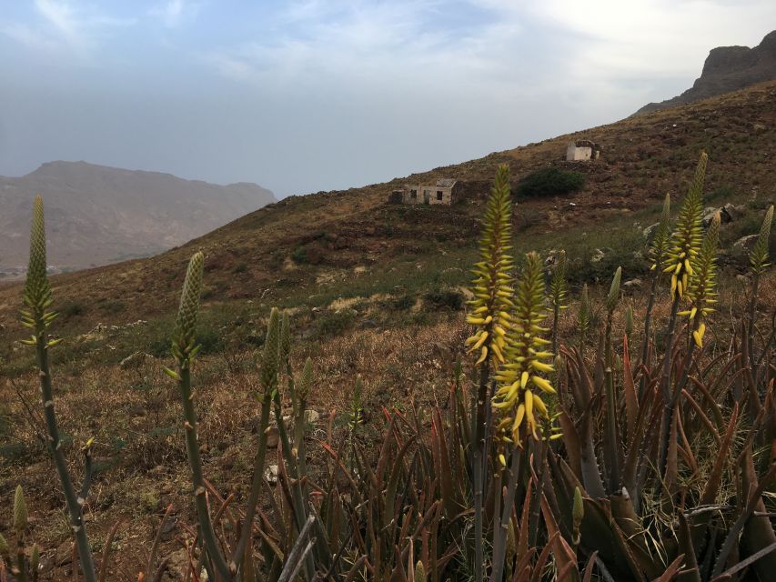 Hike Monte Verde - Is $64 a fair price for this half-day outing?