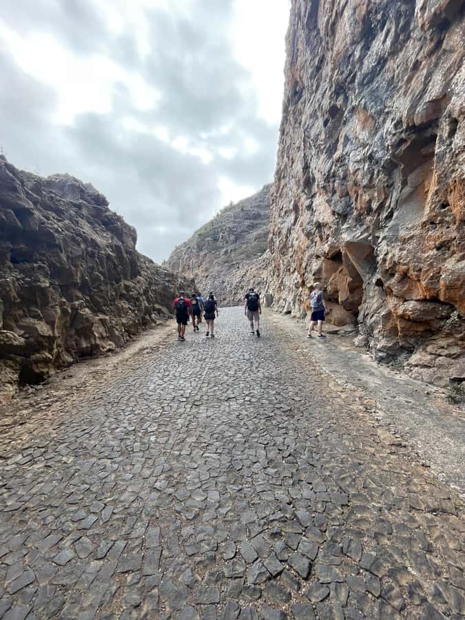 Hike Monte Verde - The old footpath is the best part of the climb