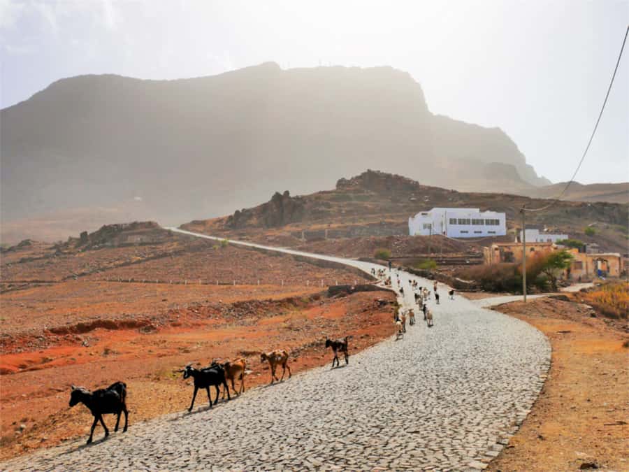 Hike to the highest point of Monte verde - Pickup from your hotel or cruise ship port