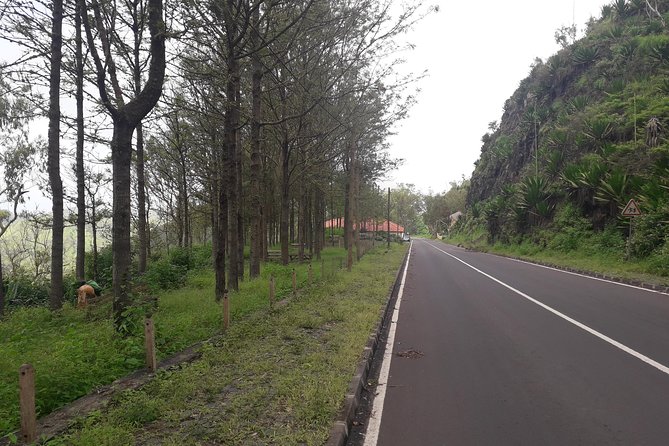 Hikking Natural Park/Serra Malagueta - Why Serra Malagueta is worth the trip from Praia