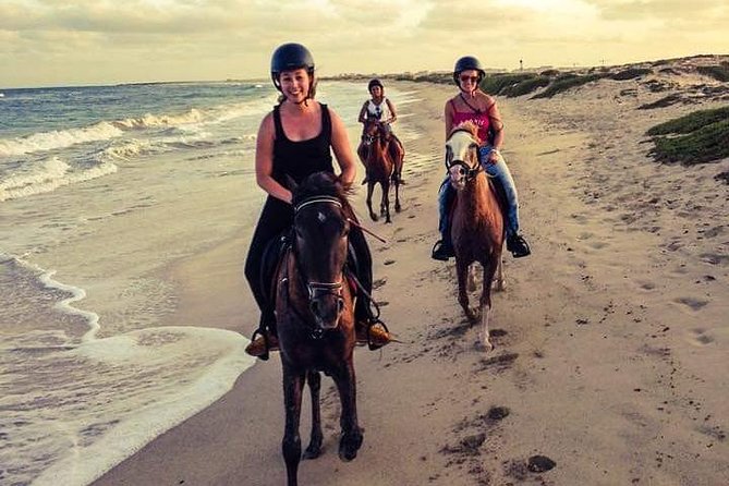 Horse Riding in Sal Island - Cabo Verde - From Santa Maria to the Big Salt Mines
