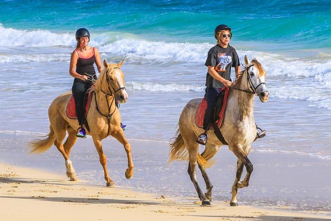 Horse Riding in Sal Island - Cabo Verde - What makes the Kite Beach section special