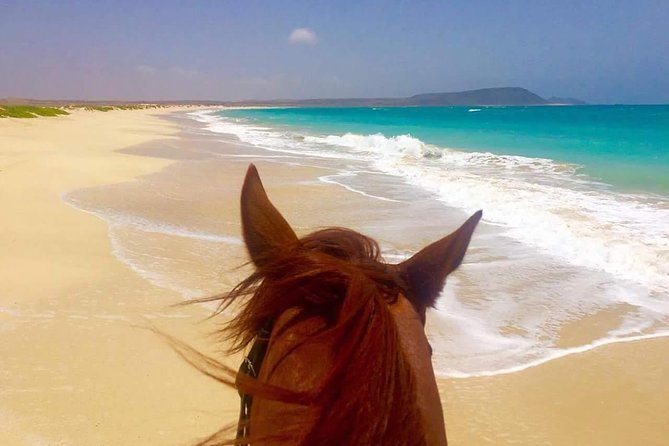 Horse Riding in Sal Island - Cabo Verde - Horses, guides, and the care question