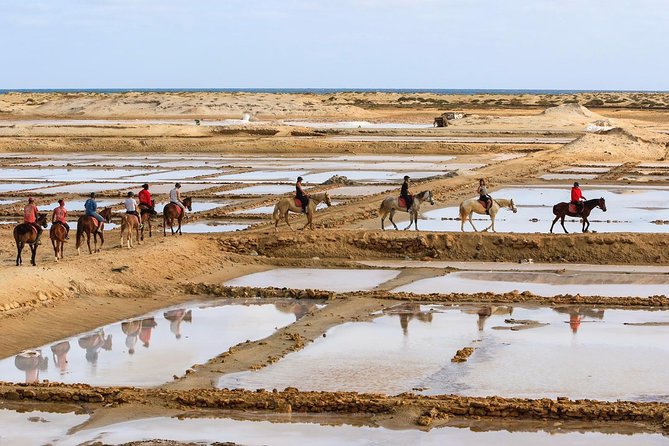 Horse Riding in Sal Island - Cabo Verde - Choosing between one, 1.5, and two hours