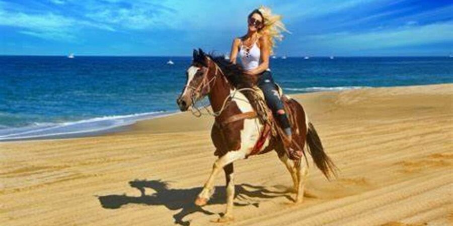 Horseback riding in Boavista for beginners - Key points to know before you book