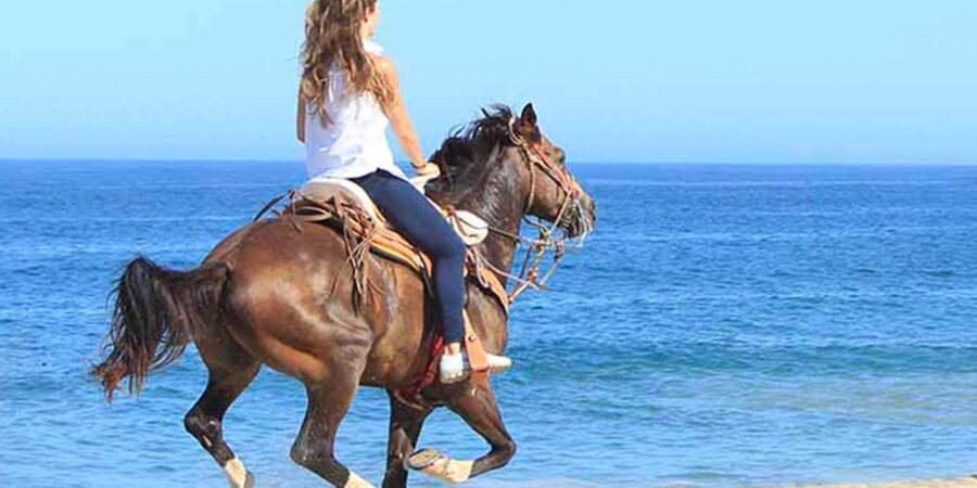 Horseback riding in Boavista for beginners - A gentle ride beside Boa Vista’s sea and sand