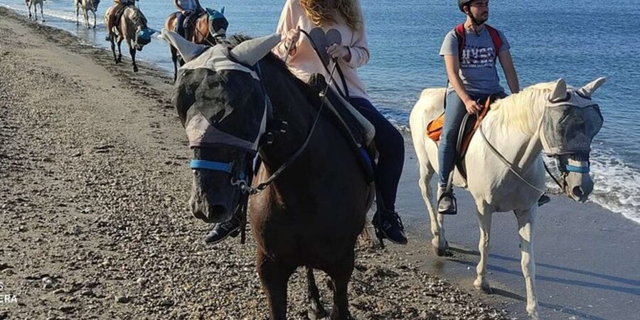 Horseback riding in Boavista for beginners - The safety form and first introduction to your horse