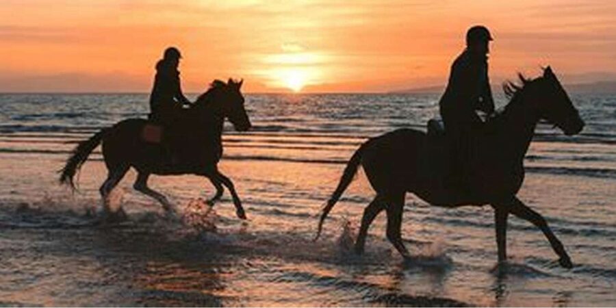 Horseback riding in Boavista for beginners - Horse condition and responsible booking
