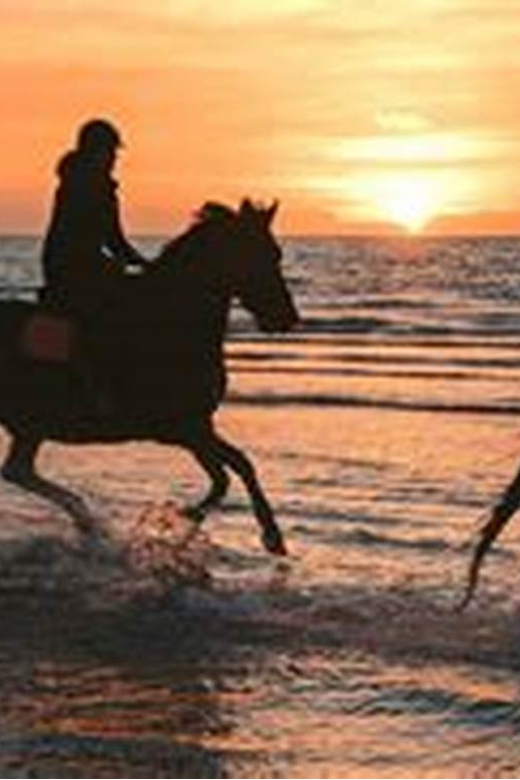 Horseback riding in Boavista for beginners - Meeting at the bus station opposite Riu Palace