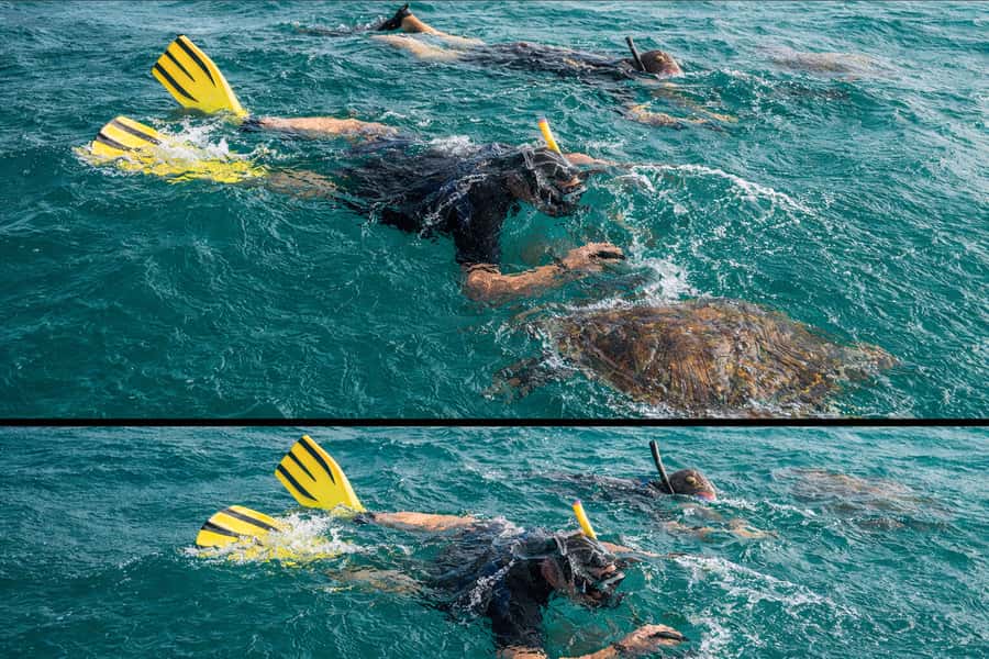 Ilha Do Sal: Snorkeling with Local Guide - Is 90 minutes enough?