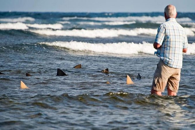 join us in this excursion of Sal island - Terra Boa and the island’s famous mirage