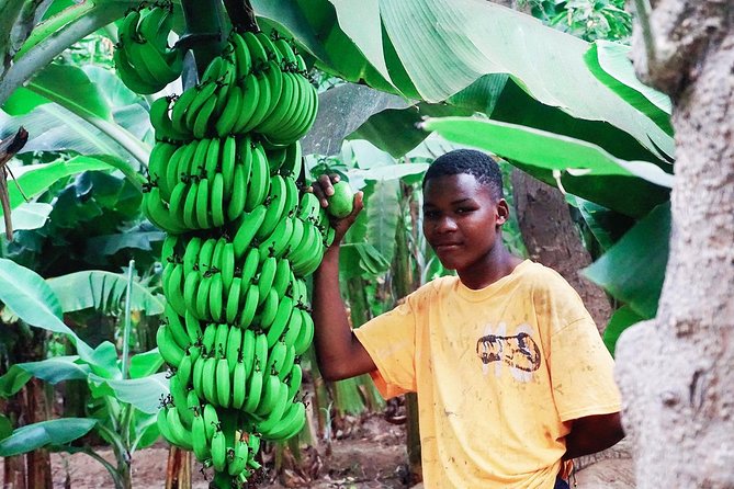 Like Locals: Banana Plantation, and Cuscuz with locals - Key points at a glance