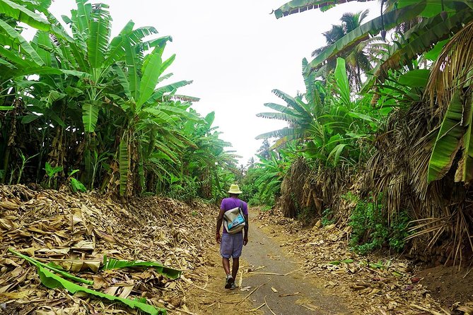 Like Locals: Banana Plantation, and Cuscuz with locals - From Praia to Santa Cruz at 9 a.m.