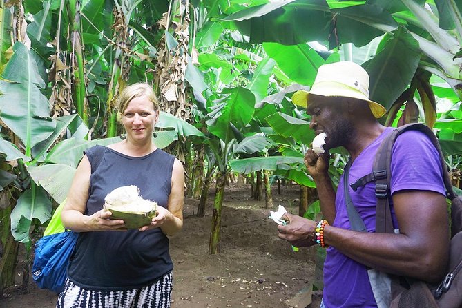 Like Locals: Banana Plantation, and Cuscuz with locals - Rum, sugarcane, and the island’s working traditions