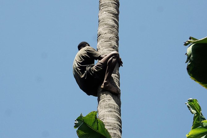 Like Locals: Banana Plantation, and Cuscuz with locals - The drive back through rocks and valleys