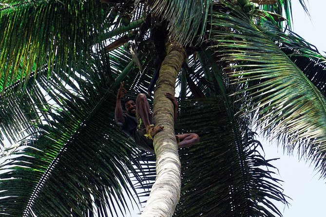 Like Locals: Banana Plantation, and Cuscuz with locals - Who will enjoy this half-day experience