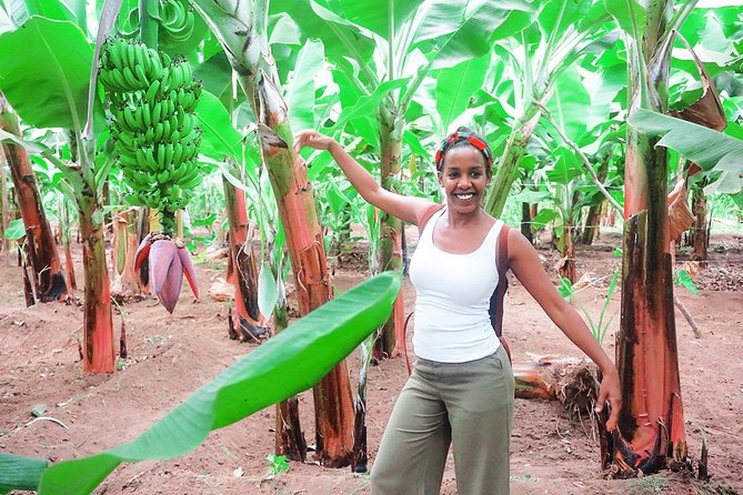 Like Locals: Banana Plantation, and Cuscuz with locals - Practical tips for a smoother day