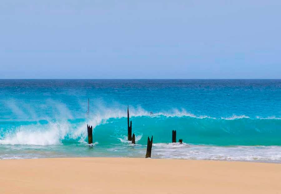 Maio Island: Full-day Guided Tour with Breakfast - Cape Verdean cuscuz in Morro