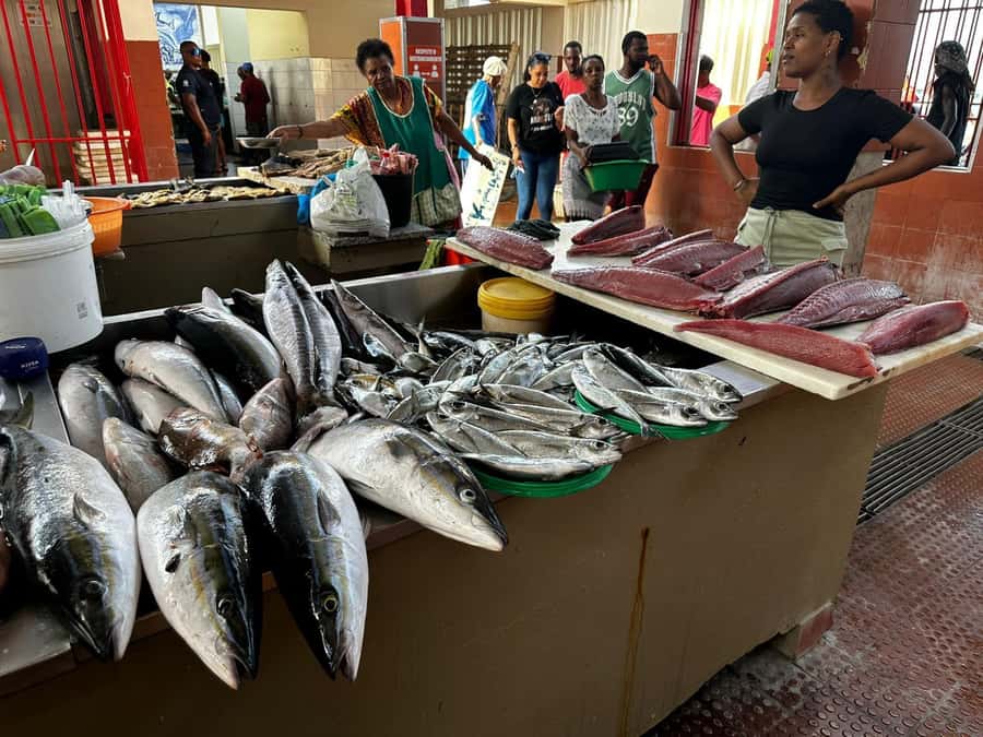 Mindelo: City Tour with Hotel Pickup and Drop-Off - Starting with Mindelo’s market and old streets