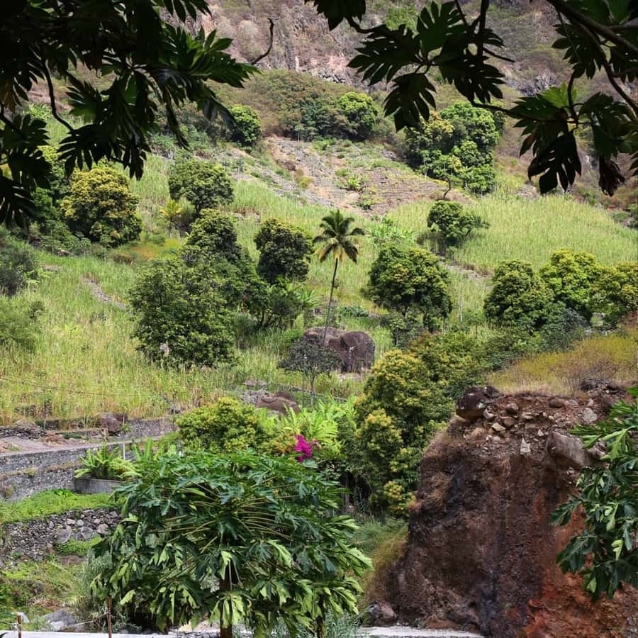 Paúl hike, the green garden - What the price includes, and what it does not
