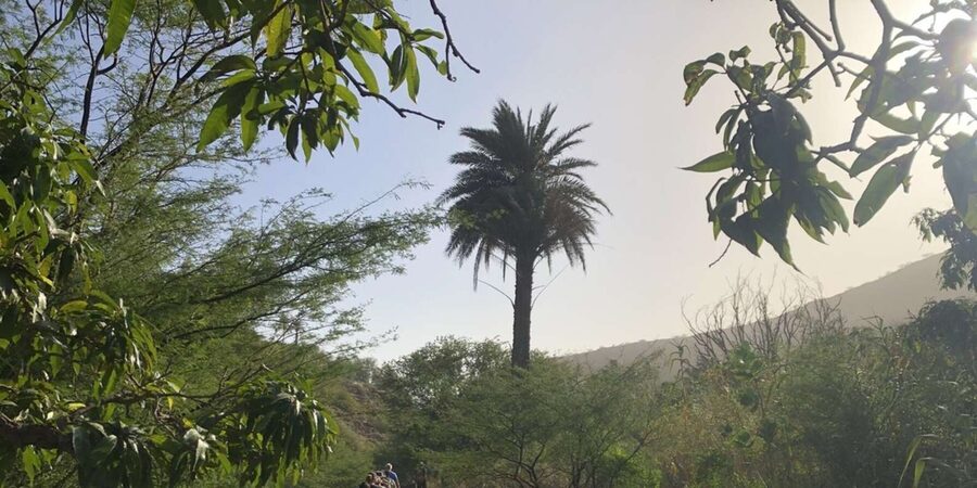Praia: Baobab Mysterious Tree, Green Valley & Old City Hike - The descent: moderate, but not flat