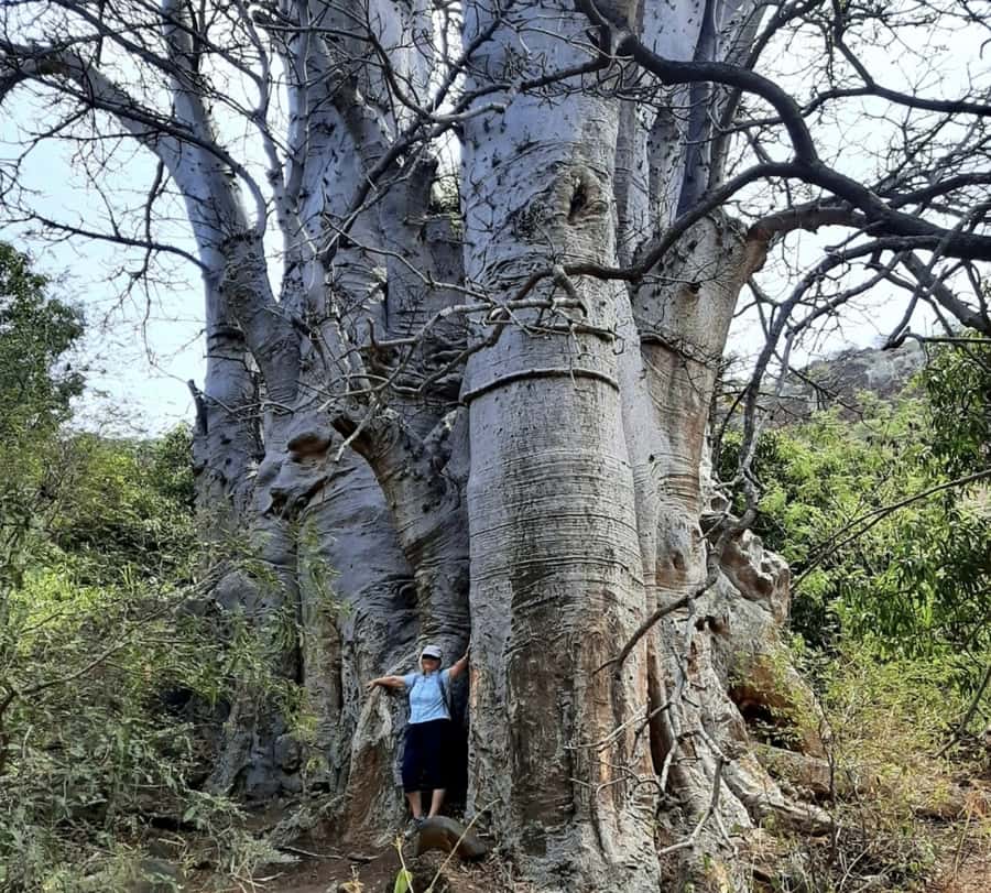 Praia: Baobab Mysterious Tree, Green Valley & Old City Hike - Leaving Praia for Santiago’s green valley