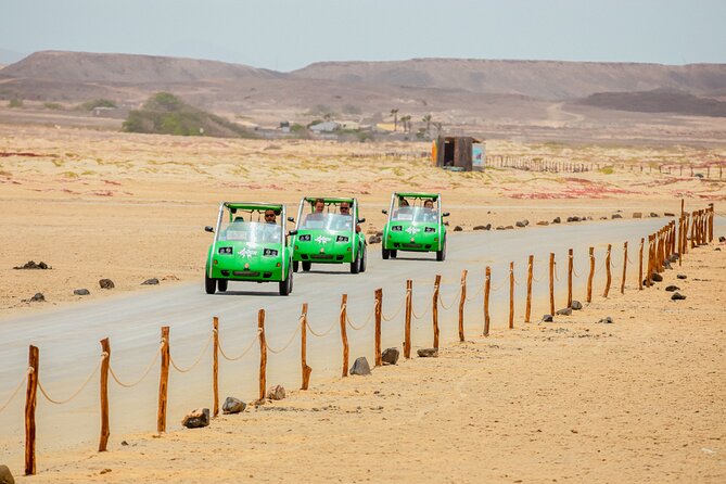 Private Guided Tour of Sal Island | Electric Car with Audio Guide - Ponta do Sinó, turtles, birds, and the lighthouse