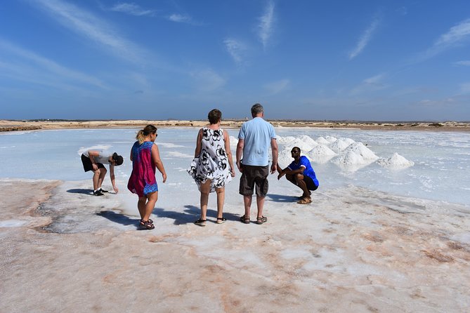 Private Sal Island Tour Authentic Experience from Santa Maria - Shark Bay and the lemon sharks