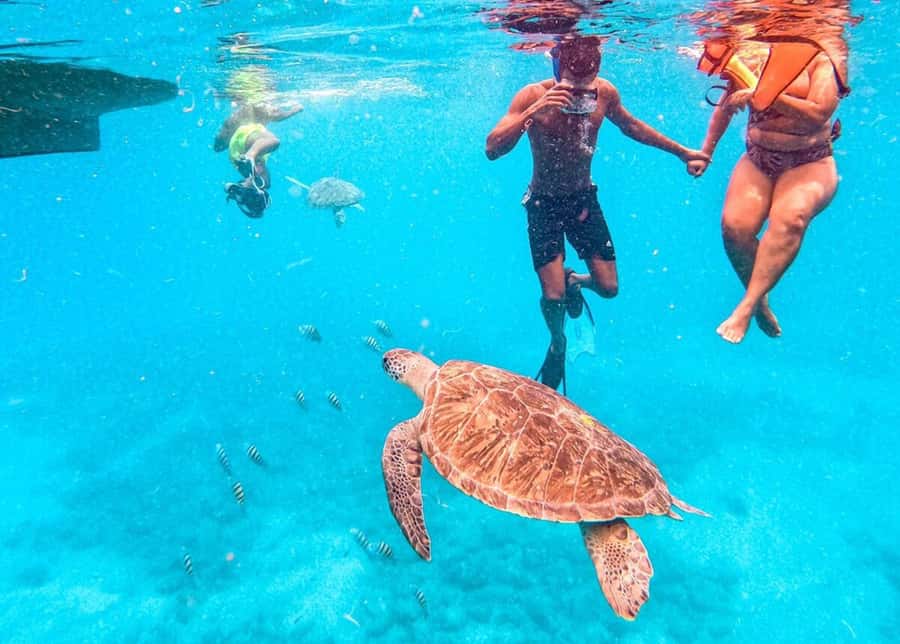 Private Snorkel Experience with Sea Turtle for Cruisers - The short boat ride to the turtle site