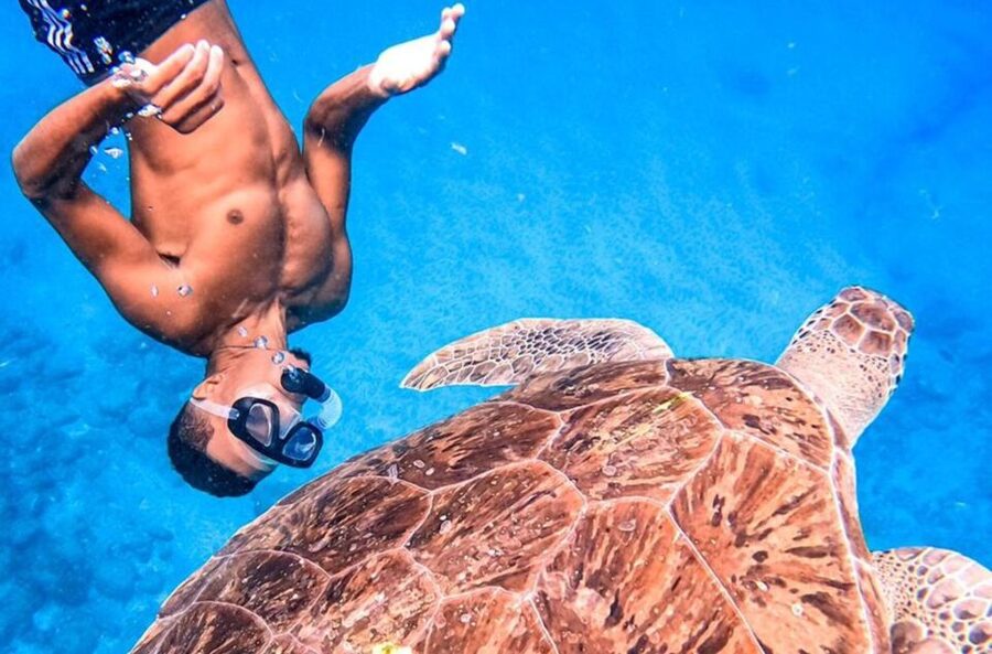 Private Snorkel Experience with Sea Turtle for Cruisers - Swimming with São Vicente’s sea turtles