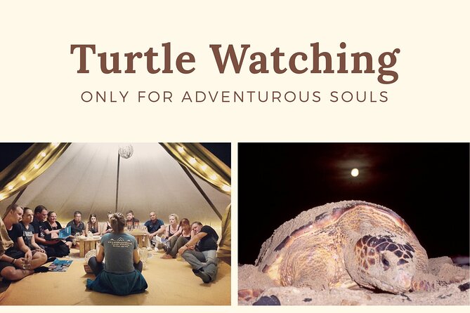 Private Turtle Watching Experience - What the $110.51 price includes