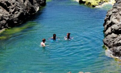 All inclusive Salt Lake, Natural pools and Shark Bay
