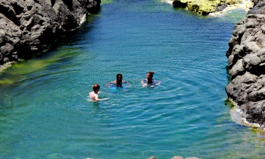 Sal: All inclusive Salt Lake, Natural pools and Shark Bay - Shark Bay brings the closest wildlife encounter