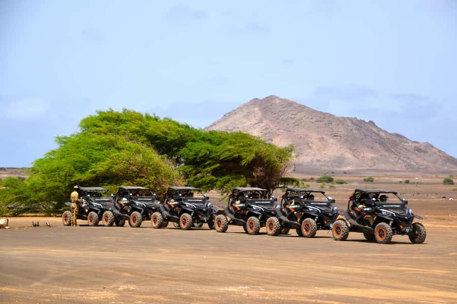 Sal Island: 4-Hour Buggy Island Tour - How much value you get for $305