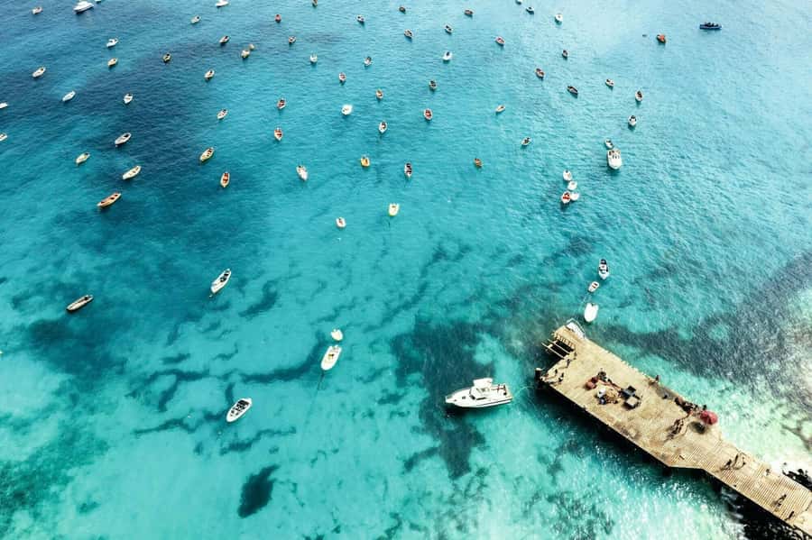 Sal Island Catamaran Cruise with All-inDrinks and Snacks - Monte Leão and the Murdeira Bay swim stop