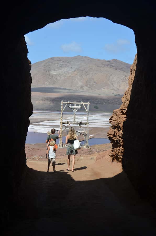 Sal island : Full day excursion Salinas, Shark Bay, Blue Eye - Shark Bay and lemon sharks in shallow water
