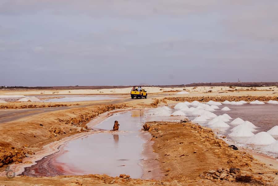 Sal island: Guided Historical and Cultural Tour - Santa Maria, from historic streets to the pier