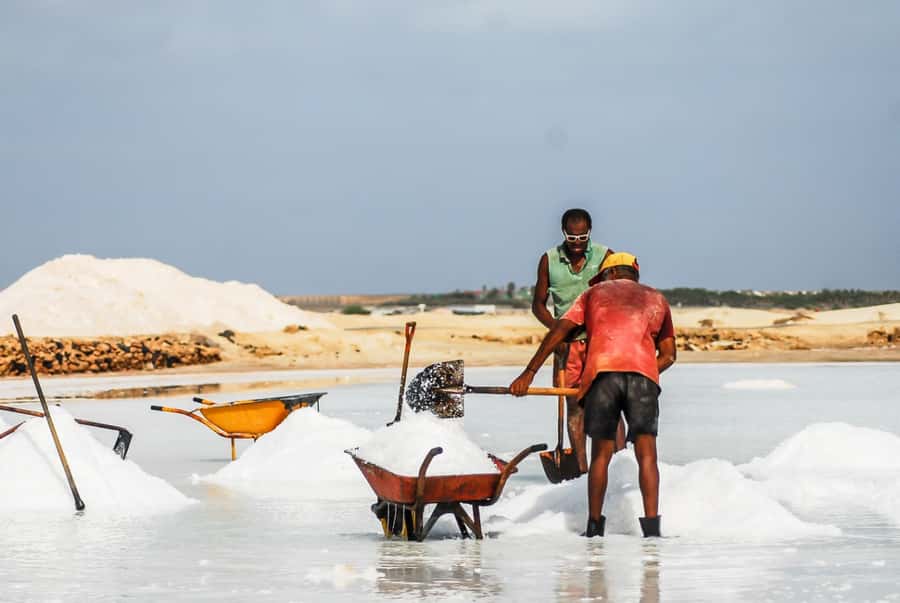 Sal island: Guided Historical and Cultural Tour - Is the $94 price good value?