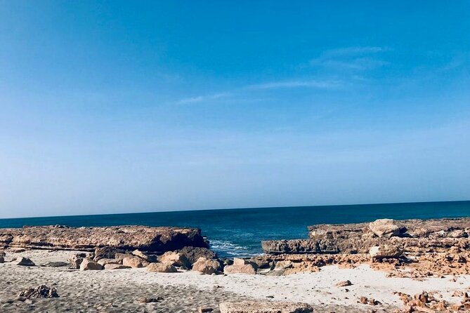 Sal Island in a Group - A Full Day Exploring the Highlights - Santa Maria salt lake and Kite Beach