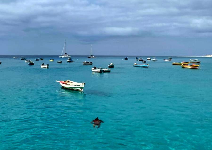 Sal island: Santa Maria city tour, street art and tapas - Old photographs, utensils, and a city view