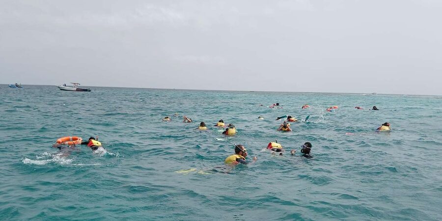 Sal Island: Santa Maria Snorkelling - Who will get the most from this snorkeling trip?