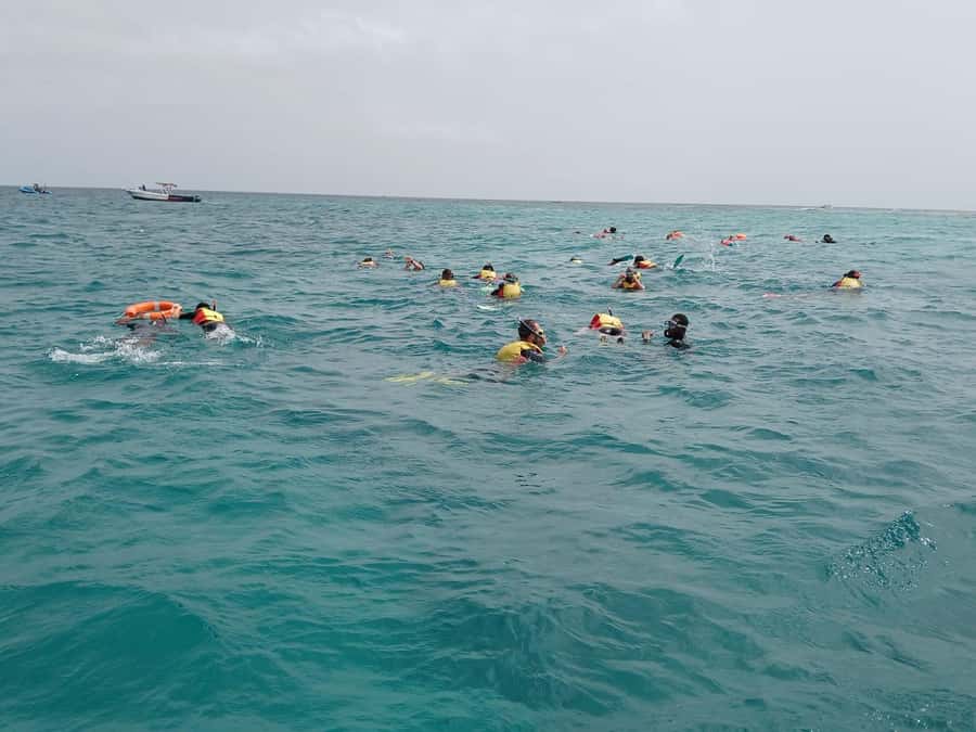 Sal Island: Santa Maria Snorkelling - What happens at Santa Maria Pier