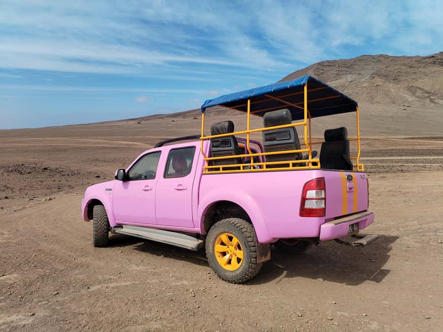 Sal: Island tour with offroad touch and creative pictures - Key points to know before booking